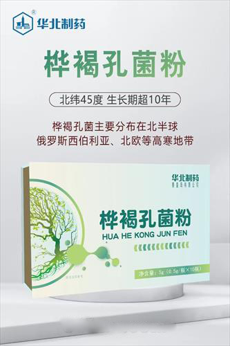 华北制药桦褐孔菌粉