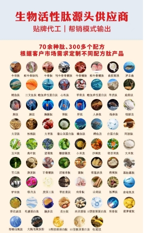 生物活性肽源头供应商