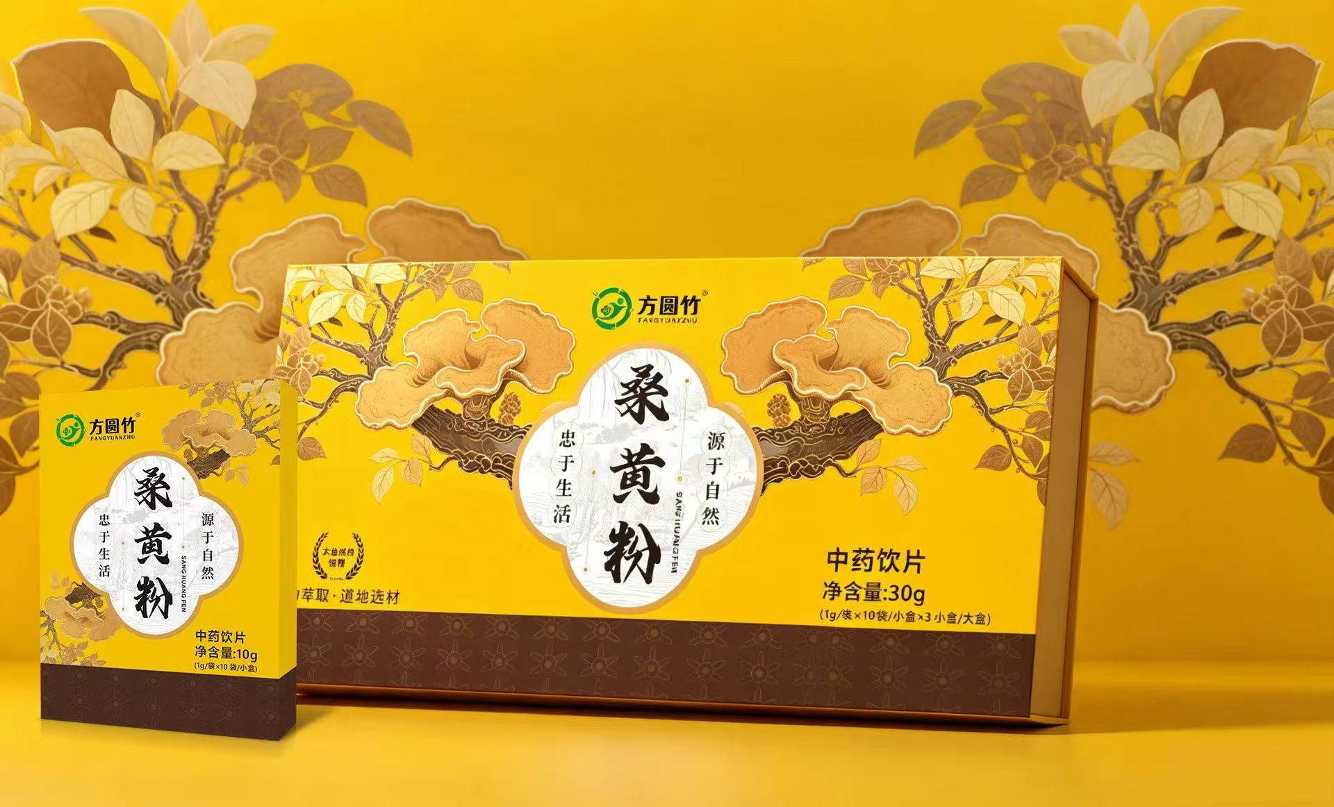 桑黄粉