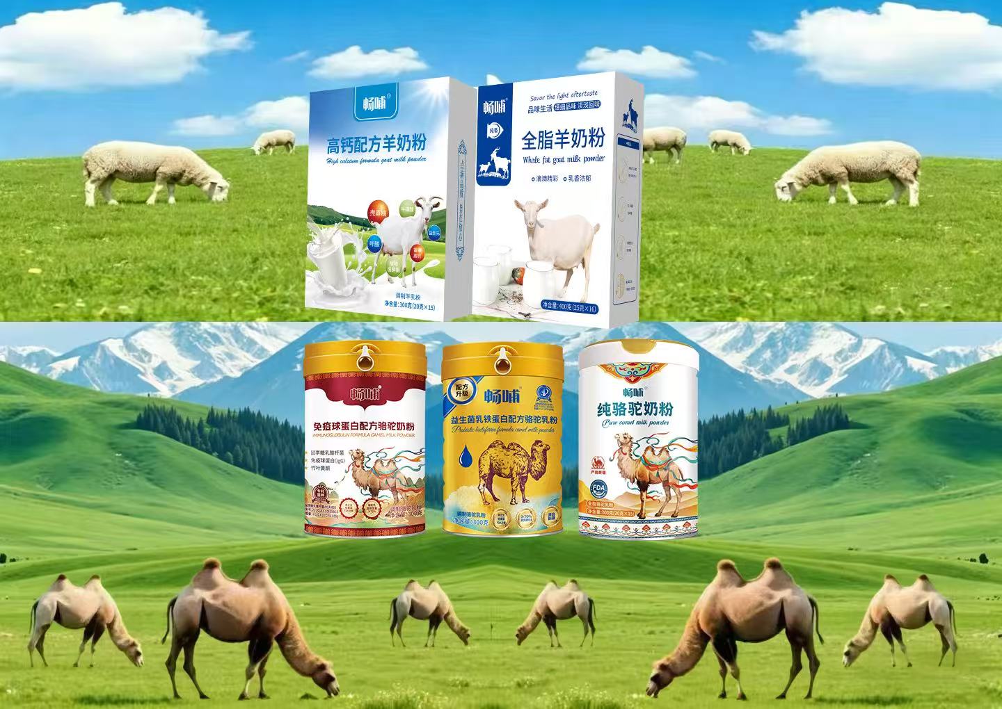昭苏县新天雪乳业有限公司