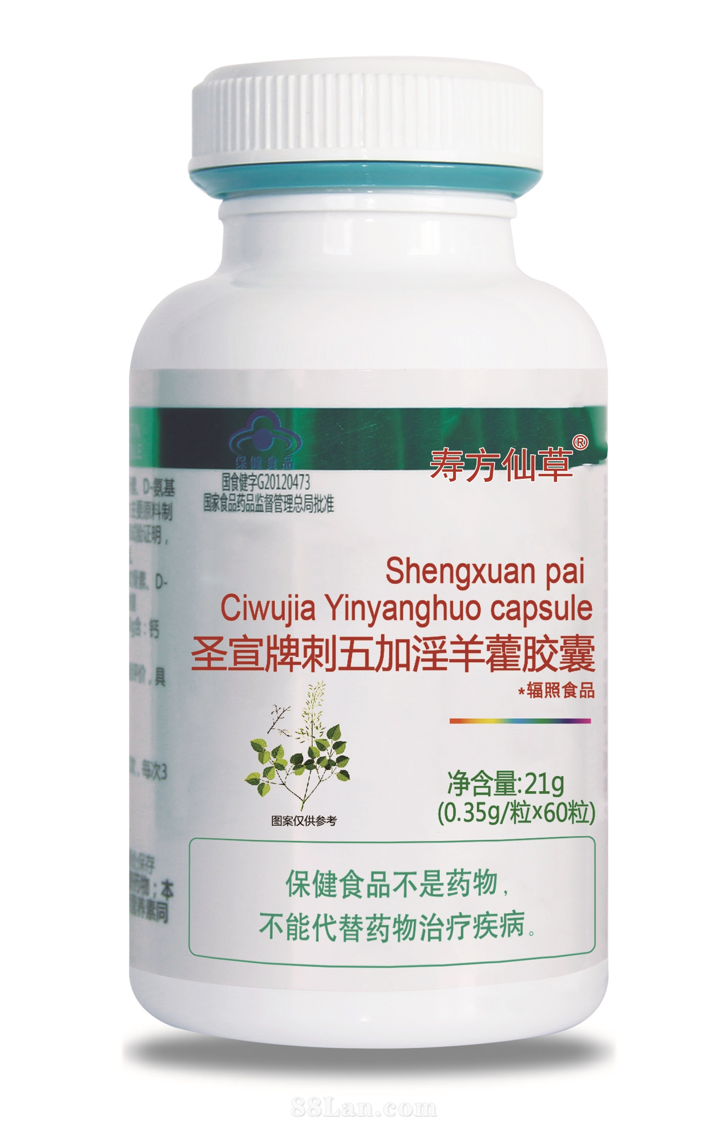 ʥ���ƴ��������޽����